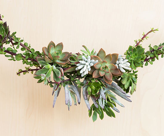 changeit Christmas succulent garland